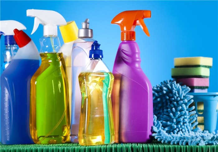 Common Household Chemicals Lead to Birth Defects in Mice, Research ...